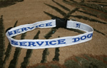 Service Dog Collar