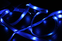 Service Dog Lighted LED Leash