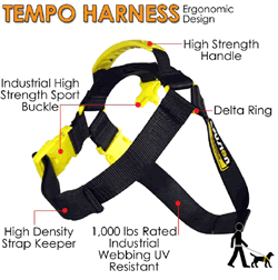 Tempo Harness