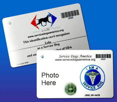 Service Dog Wallet Card