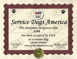 Service Dog Certificate