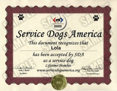 Service Dog Certificate